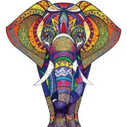 Medinė dėlionė DRAMBLYS A3